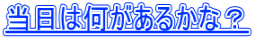 �����͉������邩�ȁH